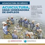 México lanza créditos accesibles con seguro para impulsar a los acuicultores