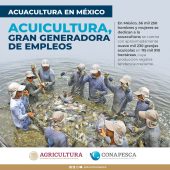 México lanza créditos accesibles con seguro para impulsar a los acuicultores