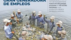 México lanza créditos accesibles con seguro para impulsar a los acuicultores