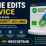 Niche Edits Service That Builds High-Authority SEO Links